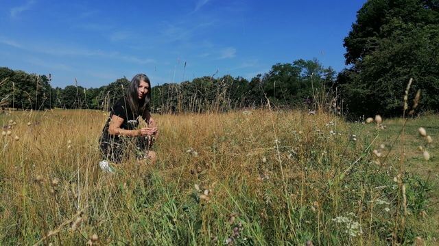 Alexandra Skala kniet in einem Wildkrautfeld und erntet Heilpflanzen