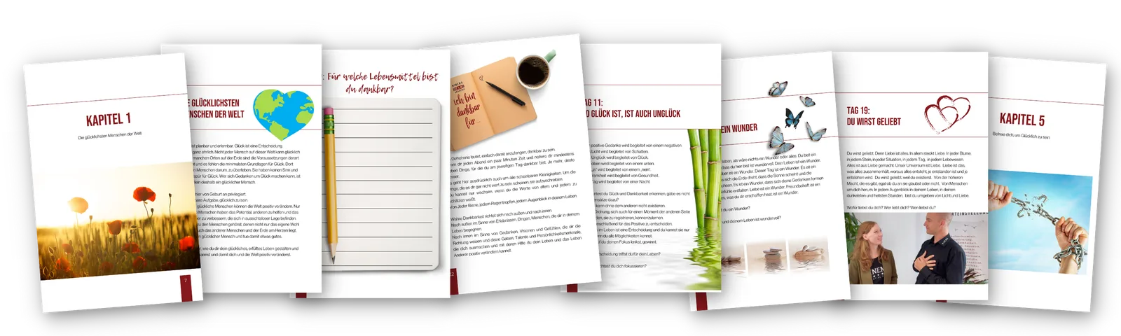 Das Glücks-Buch Kurs-Material Übersicht für Eltern