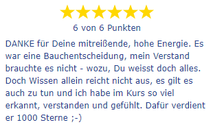 Sechssterne-Bewertung mit Dank für hohe Energie und Verständnis trotz weniger Wissen