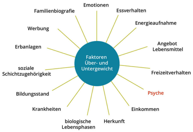 Dein Mindset-Masterplan zum Wunschgewicht – E-Book zum Abnehmen