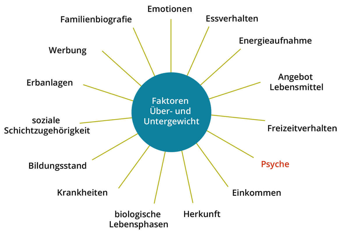 Infografik Faktoren Über- und Untergewicht mit Mittelpunkt und radialen Linien