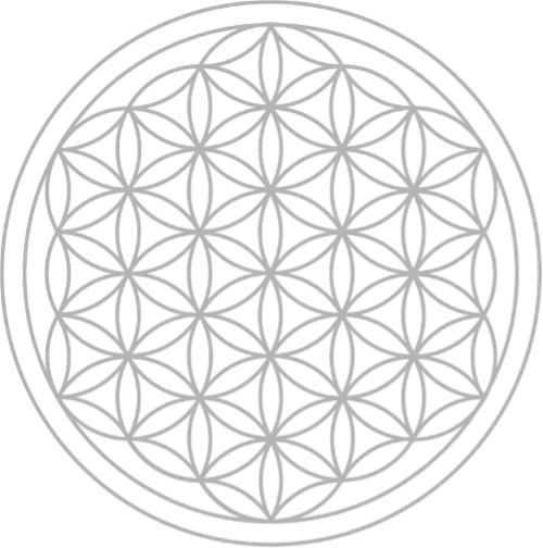 Blume des Lebens, geometrisches Muster aus Kreisen in grauer Linie
