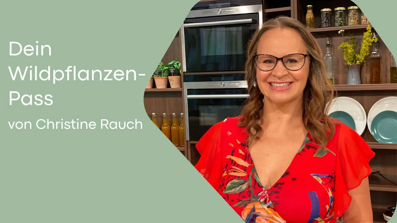 Christine Rauch Portrait im roten Kleid vor Küchenhintergrund, Wildpflanzen-Pass Kursangebot