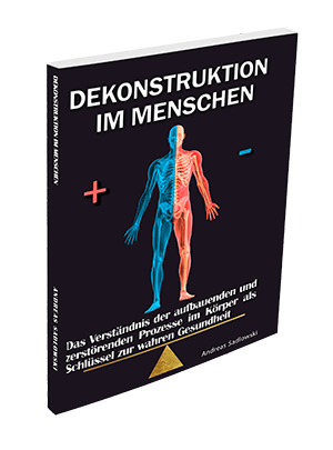 Buchcover Rheuma Dekonstruktion im Menschen von Andreas Sadlowski
