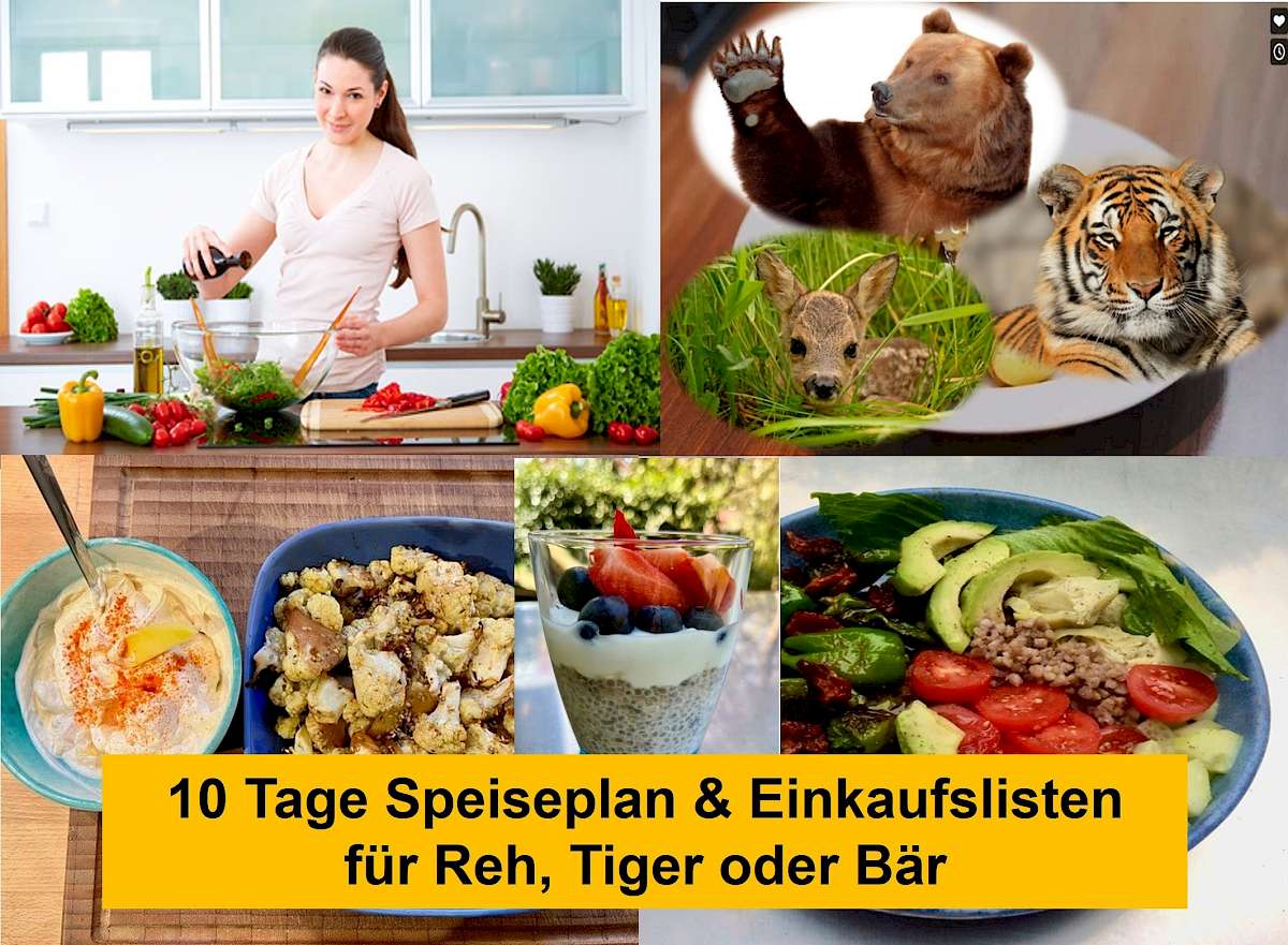 Speiseplan für den 10-Tage-Intervallfasten-Kurs mit ausgewählten Rezepten