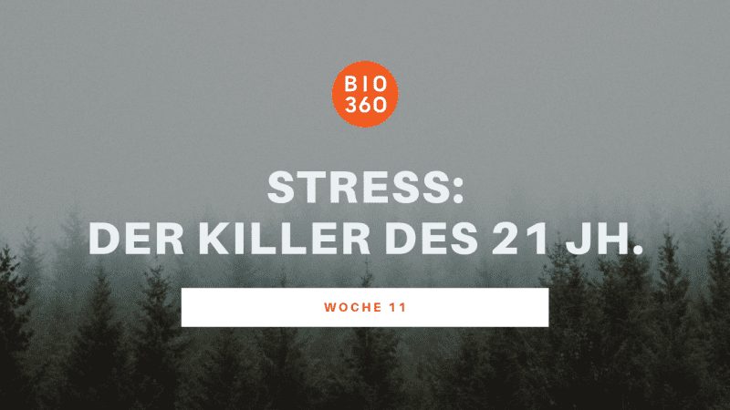 Banner Woche 11: Stress – Der Killer des 21. Jahrhundert mit grauem Waldnebel