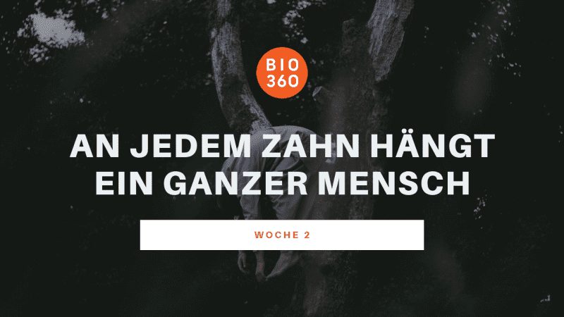 Kursinhalt Woche 2 Bio360 Entgiftungskurs