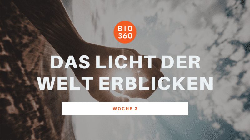 Kursinhalt Woche 3 Bio360 Entgiftungskurs