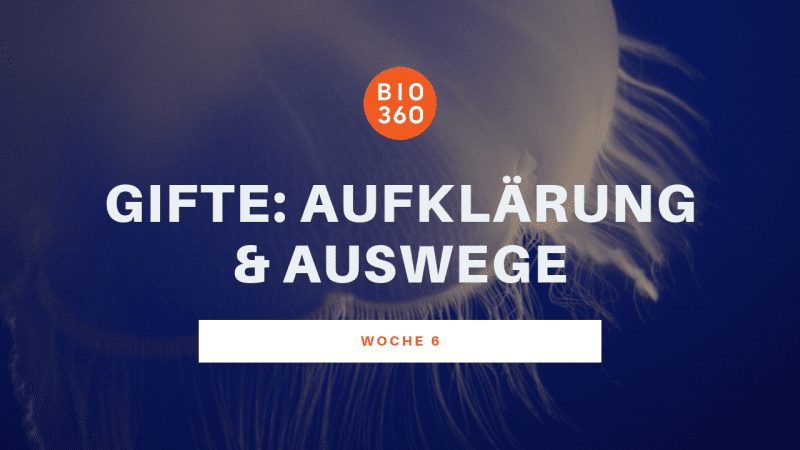 Banner Woche 6: Gifte – Aufklärung und Auswege mit blauem Lichthintergrund und Lichtwellen