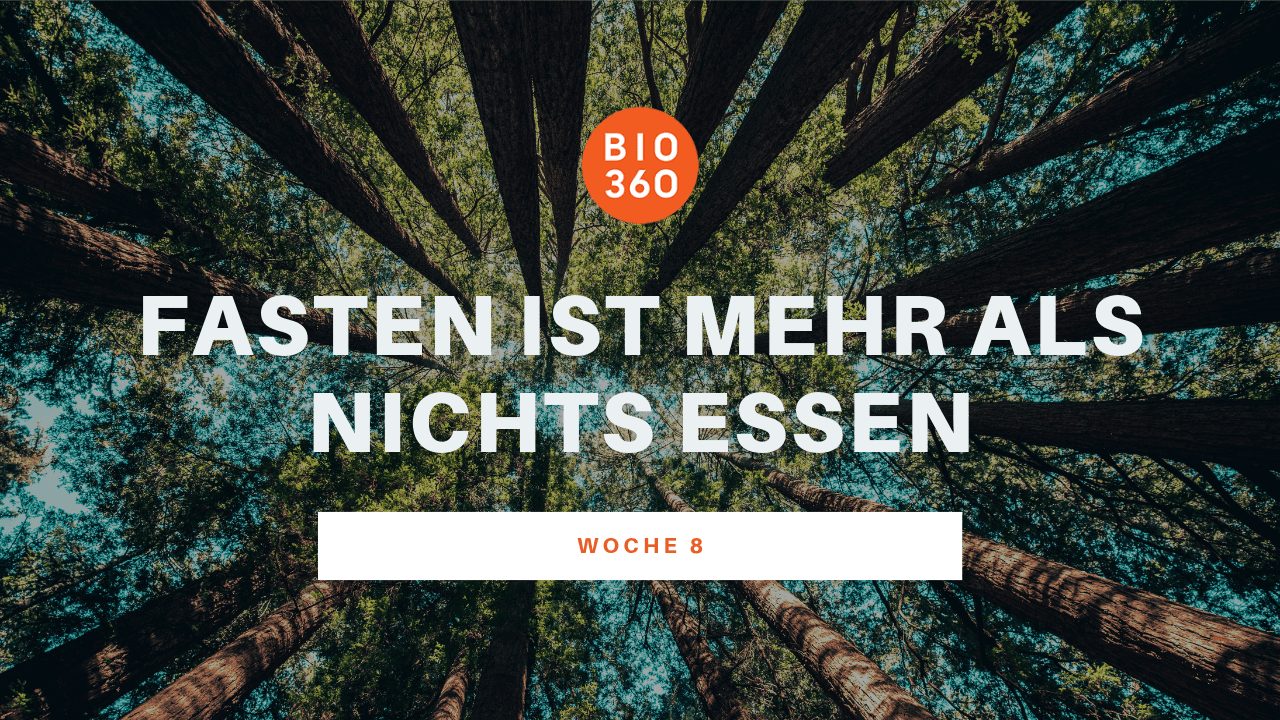 Banner Woche 8: Fasten ist mehr als nichts essen mit Waldbaum-Perspektive von unten
