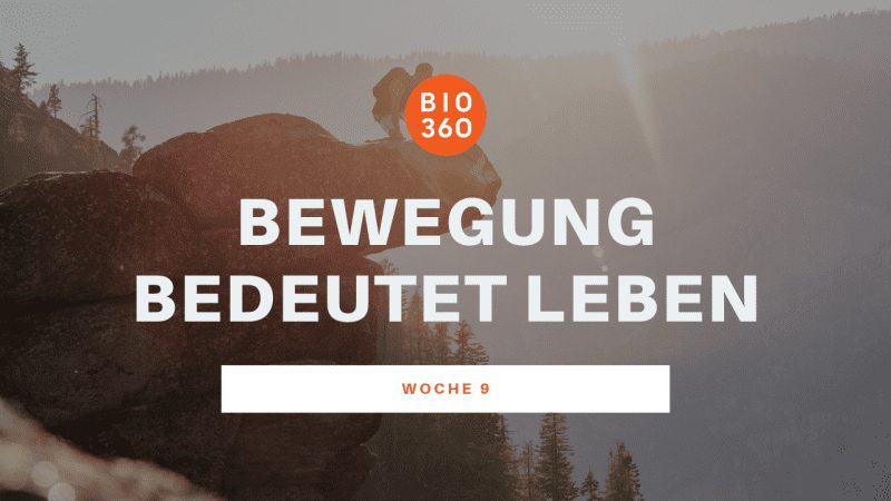 Banner Woche 9: Bewegung bedeutet Leben mit Felsen und Waldlandschaft im Hintergrund