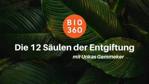 Hero-Image Die 12 Säulen der Entgiftung mit Unkas Gemmeker – grüne Pflanzenlaubmotiv