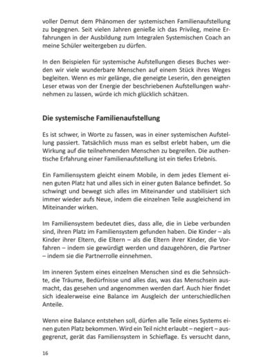 Buchseite 12 zur systemischen Familienaufstellung mit Erklärungen und Definitionen