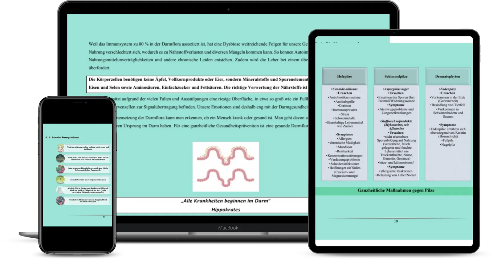 Das E-Book ist von allen elektronischen Geräten aus überall lesbar.