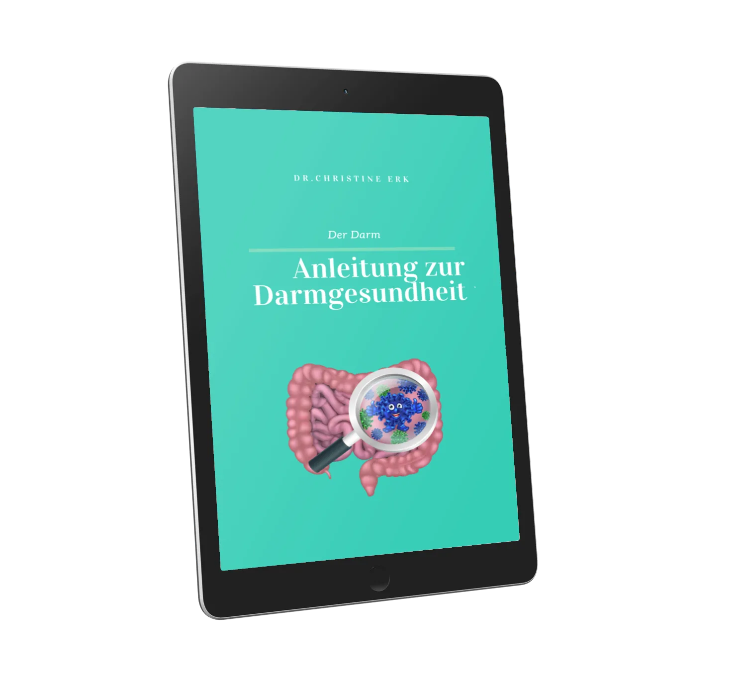 Der Darm E-Book digitale Kursplattform