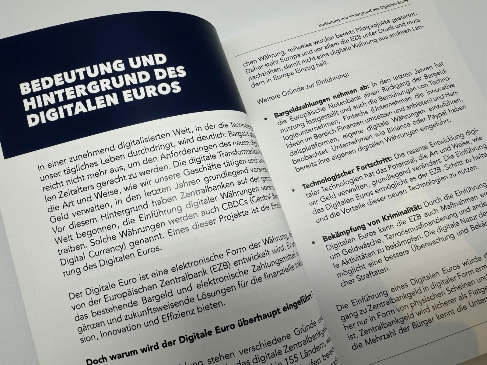 Aufgeschlagene Buchseiten mit Kapitel Bedeutung und Hintergrund des Digitalen Euros, Fettdruck-Überschriften auf dunklem Hint