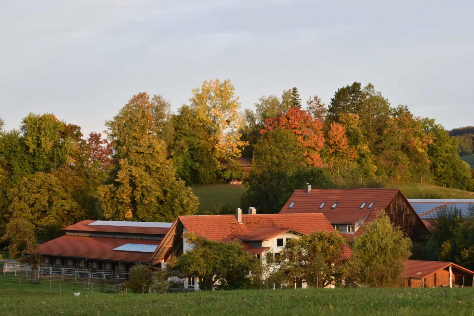 Der Krieger – E-Book über Angstfreiheit 5 Landschaftsaufnahme einer Retreat-Farm am Bodensee mit Wohnhaus, Reitanlage und Herbstwald