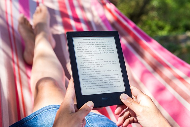 Hände halten E-Reader mit Buch-Cover über Picknick-Decke und Sonnenbrille