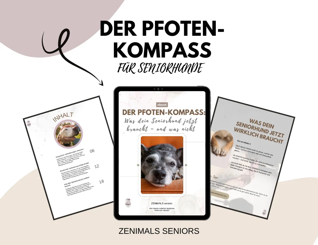 Der Pfoten-Kompass – E-Book zu Seniorhunden von Anke Huber 5 Mockup Der Pfotenkompass: Tablet und zwei Printseiten mit E-Book Inhalten