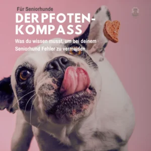 Der Pfotenkompass E-Book Cover in rosa: Seniorhund mit ausgestreckter Zunge