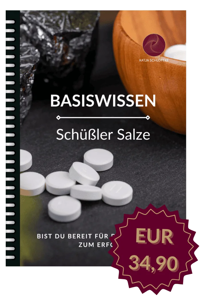 E-Book Cover Basiswissen Schüßler Salze mit Mortar und Preis EUR 34,90