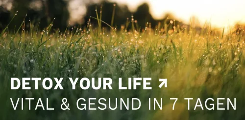 Wiese mit Tautropfen bei Sonnenaufgang, Text Detox Your Life Vital & Gesund in 7 Tagen