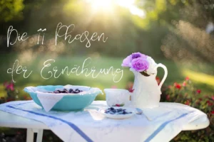 Hero-Bild mit Schriftzug „Die 11 Phasen der Ernährung – Philosophie des Gesundwerdens