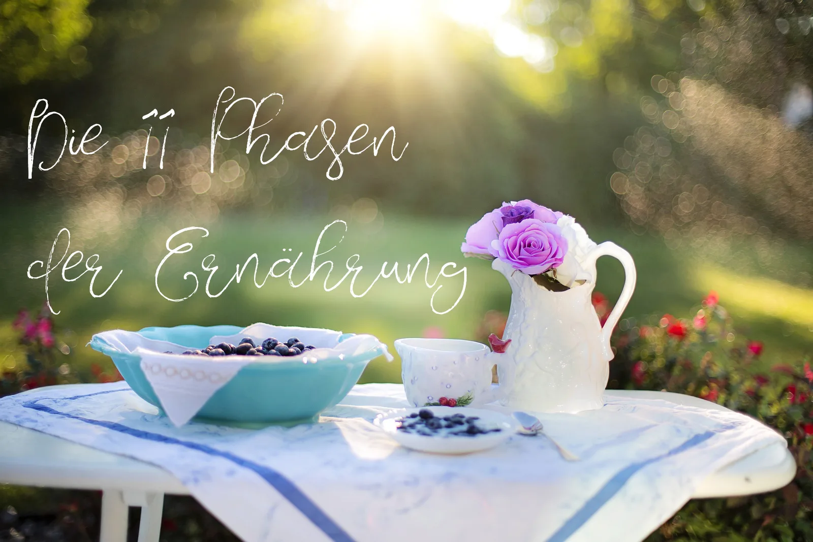 Hero-Bild mit Schriftzug „Die 11 Phasen der Ernährung – Philosophie des Gesundwerdens