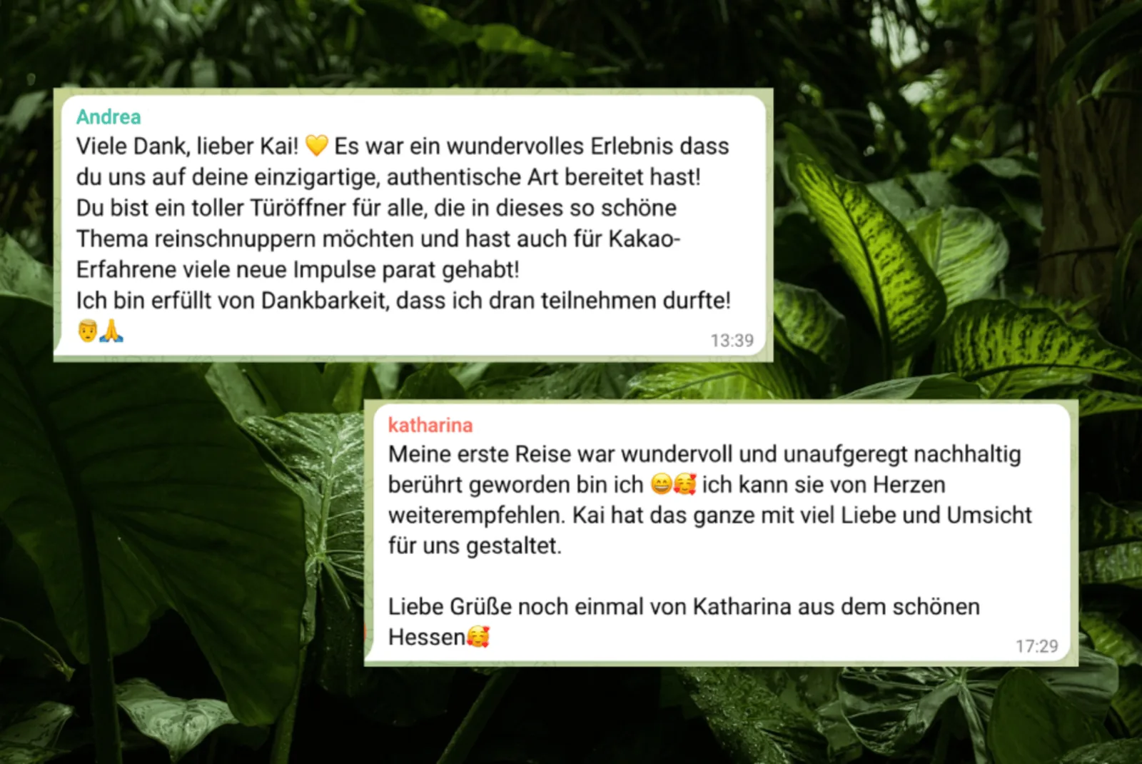 Kundenstimme von Andrea auf grünem Blätterhintergrund, Dank für authentische Kakaoreise