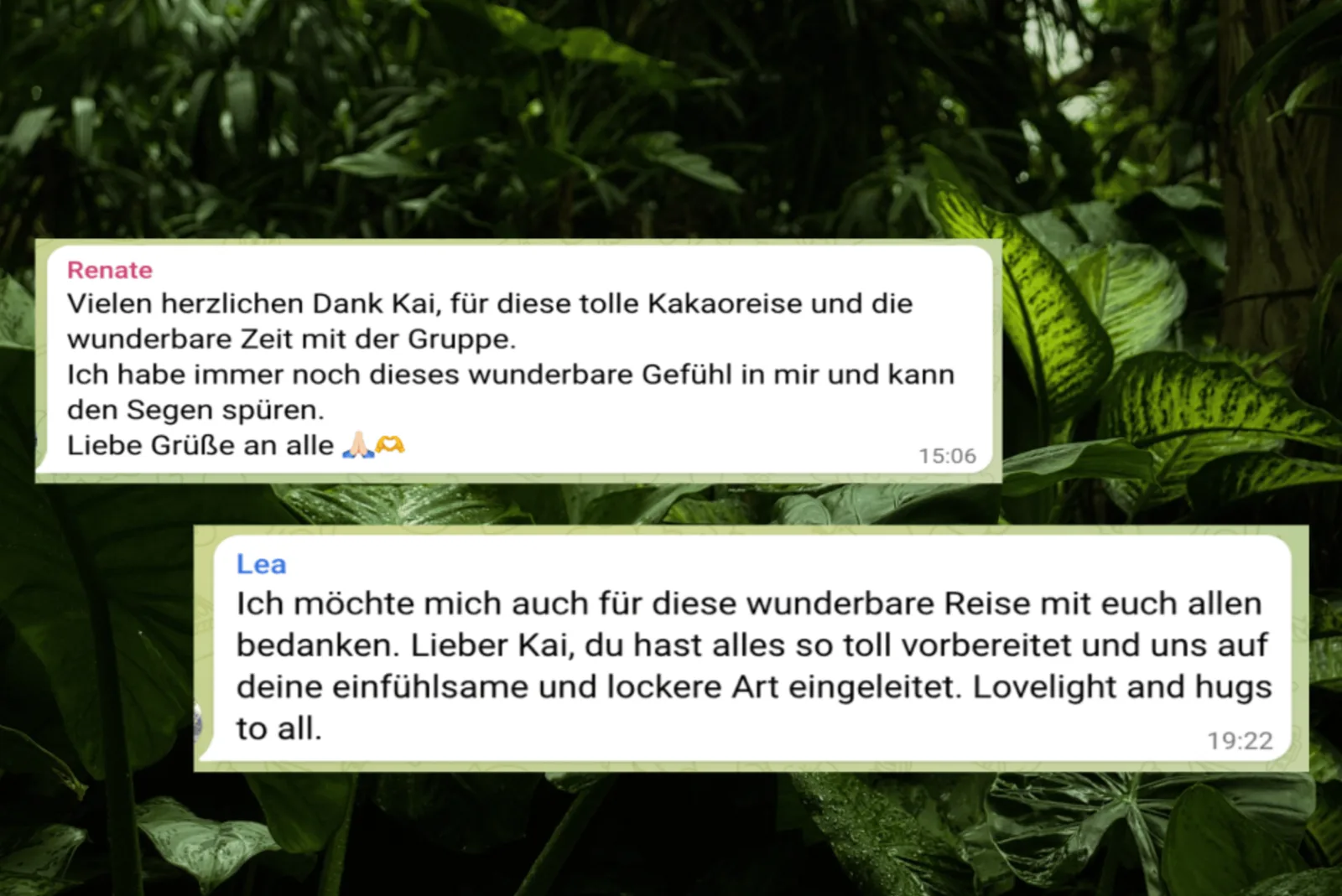 Kundenstimmen von Katharina und Renate auf Blätterhintergrund