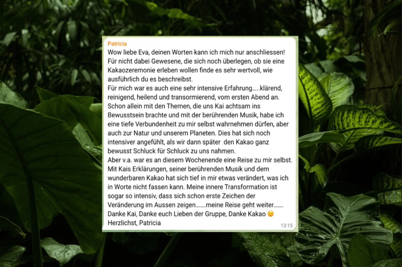 Kundenstimmen von Patricia und weiterer Person auf grünem Blätterhintergrund
