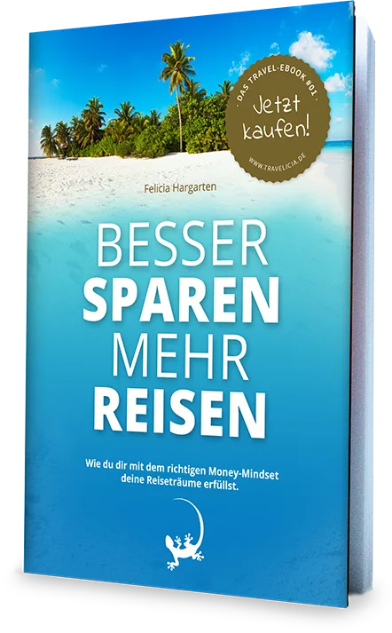 E-Book Cover mit tropischem Strand und Palmen, Titel 'Besser sparen mehr reisen'
