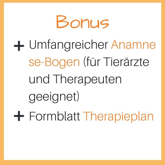 Bonus-Inhalte: Umfangreicher Anamnesebogen und Therapieplan-Formular für Therapeuten