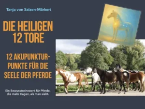 E-Book-Cover "Die heiligen 12 Tore" von Tanja von Salzen-Märkert mit Pferden und Akupunktur-Illustration