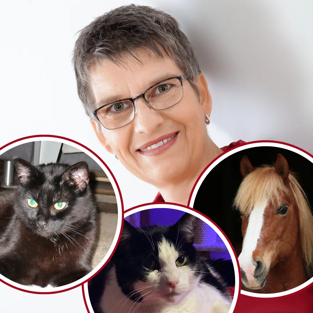 Die homöopathische Hausapotheke für Tiere – Live-Webinarreihe 3 Porträt von Petra Schwarz, Tierheilpraktikerin, mit Brille umgeben von Fotos ihrer Tiere (zwei Katzen, ein Pferd)