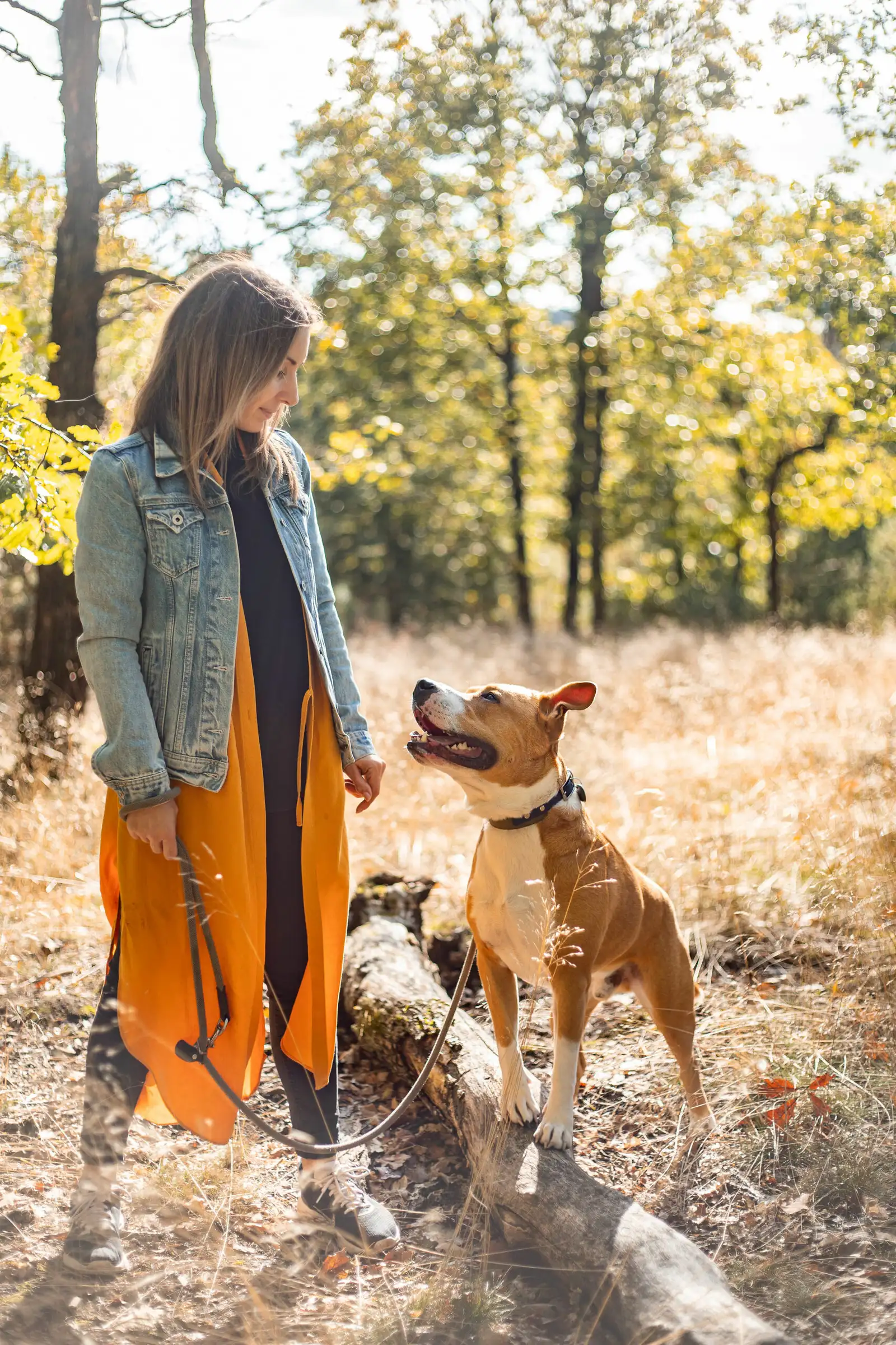 Frau mit Hund im Herbstwald, Denim-Jacke, oranges Tuch