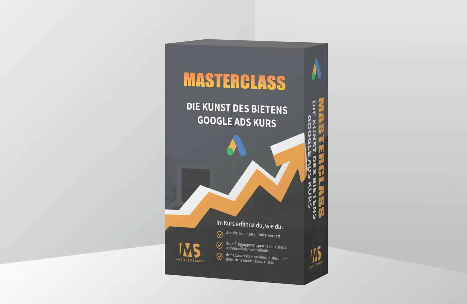 3D-Box-Mockup der Masterclass Google Ads Gebotsstrategien