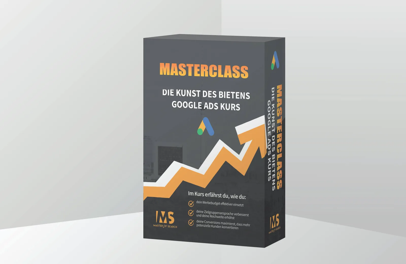 3D-Box-Mockup der Masterclass Google Ads Gebotsstrategien Kurs