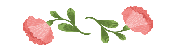 Dekorative Illustration mit zwei rosa Blüten und grünen Blättern und Ranken