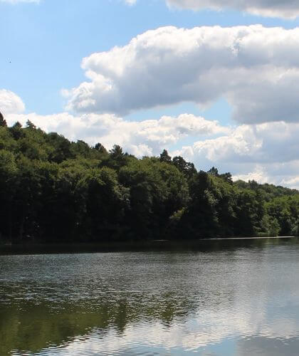 Seelandschaft mit grüner Waldlinie und dramatischem Wolkenhimmel, Wasserspiegelung