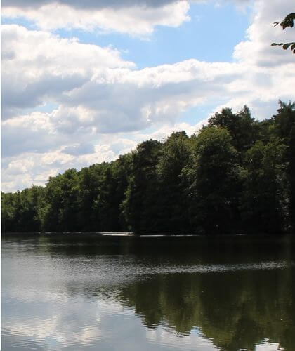 Panoramaaufnahme: Ruhiger See mit Waldkulisse und hellen Wolken am blauen Himmel