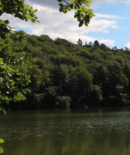 Naturaufnahme: See mit dichtem grünem Waldwald unter bewölktem Himmel, Uferszene