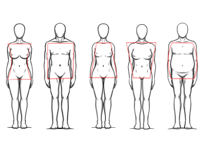 Anatomische Körperformen verschiedener Frauenfiguren mit Proportionsmarkierungen