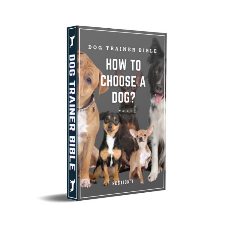 Dog Trainer Bible – Hundetraining-E-Book-Sammlung von Dejan Majkic