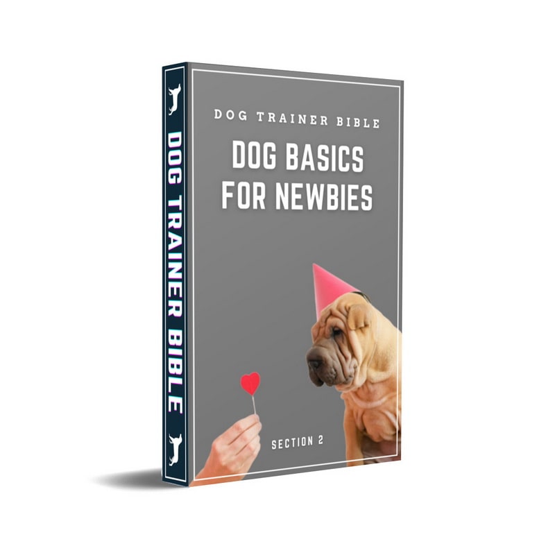 Dog Trainer Bible Section 2 eBook-Cover Dog Basics for Newbies
