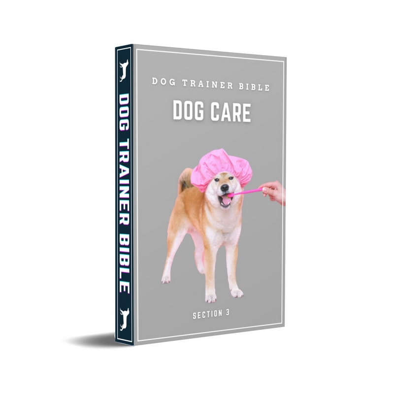 Dog Trainer Bible Section 3 eBook-Cover Dog Care Thema
