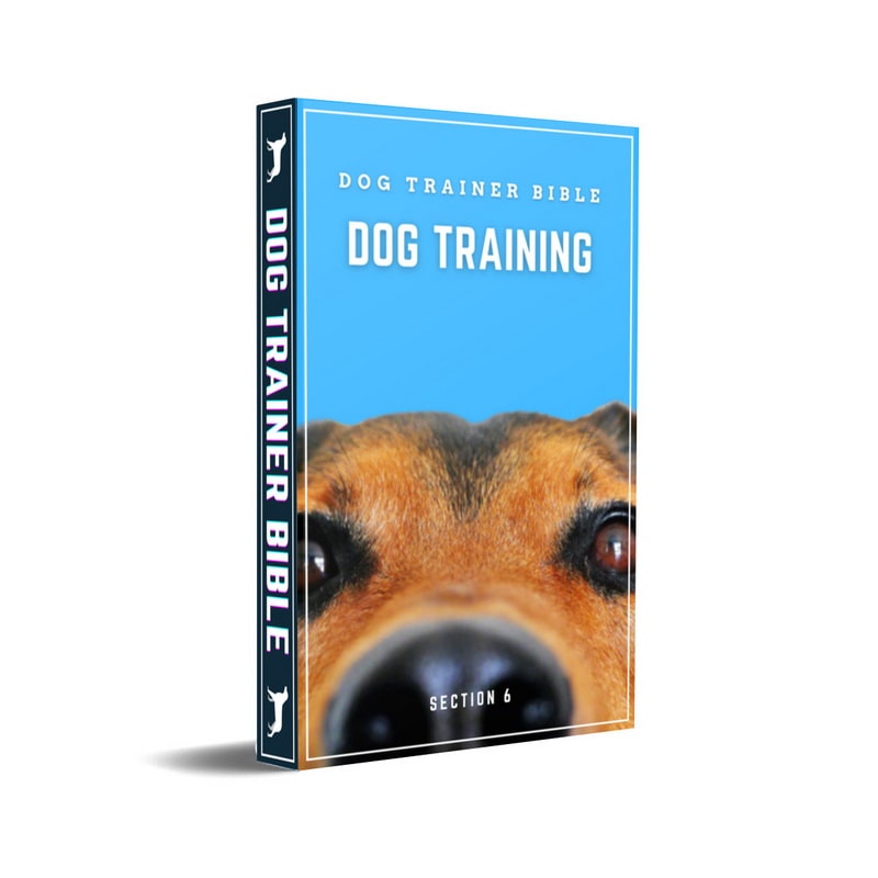 Dog Trainer Bible Section 6 eBook-Cover mit Hundeportrait und blauem Design