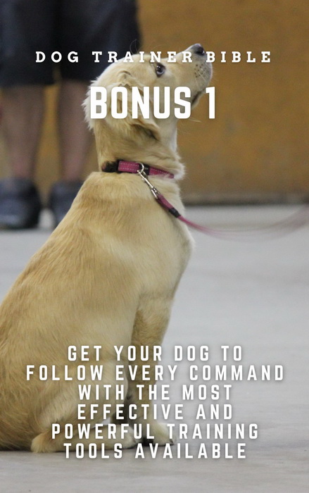 Dog Trainer Bible Bonus 1 eBook-Cover mit hellem Hund und Halsband