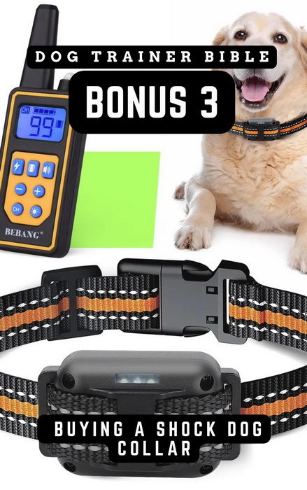 Dog Trainer Bible Bonus 3 eBook-Cover mit Trainingshalsband und Labrador