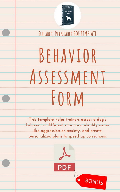 Behavior Assessment Form als PDF-Vorlage zur Verhaltensanalyse bei Hunden